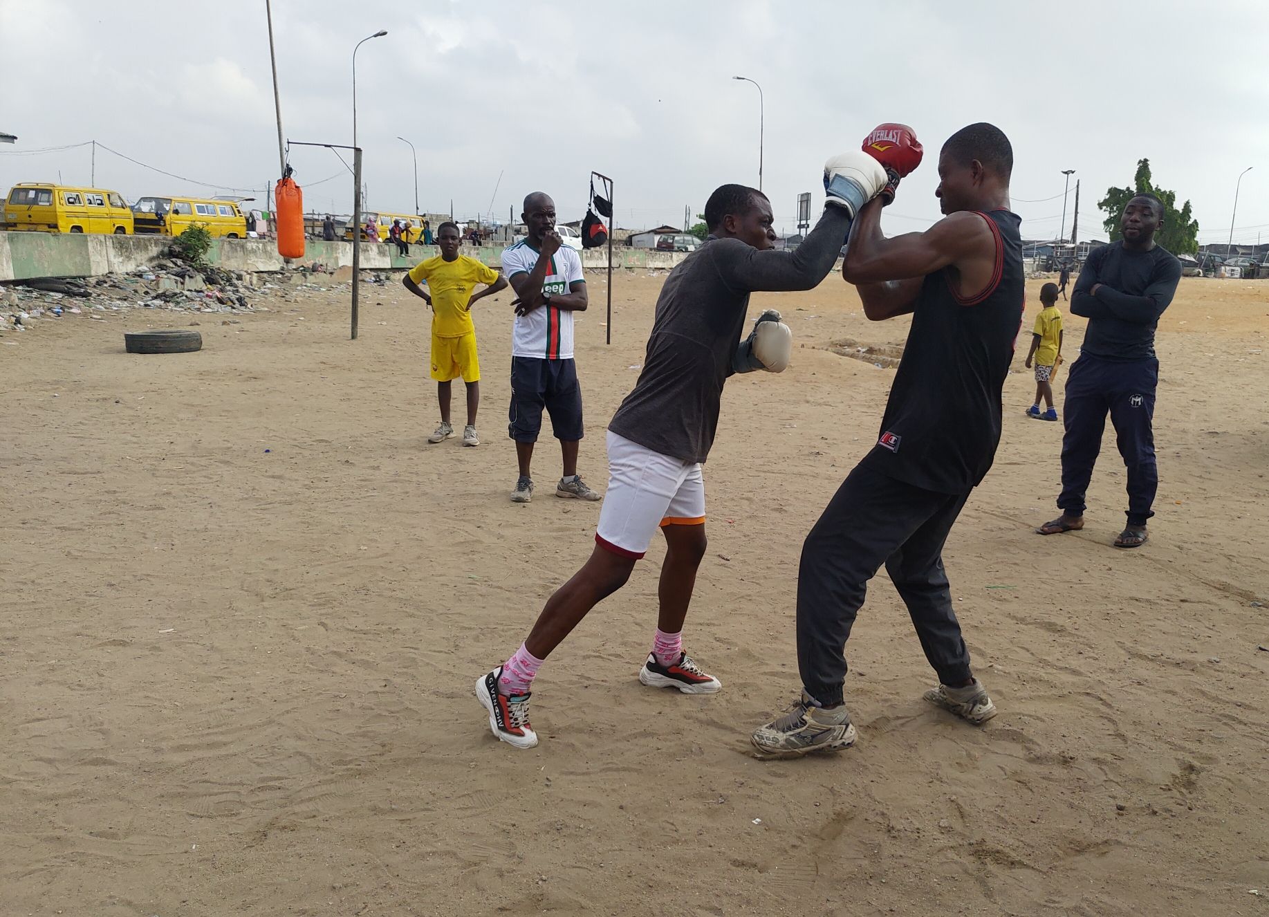 Boxers training